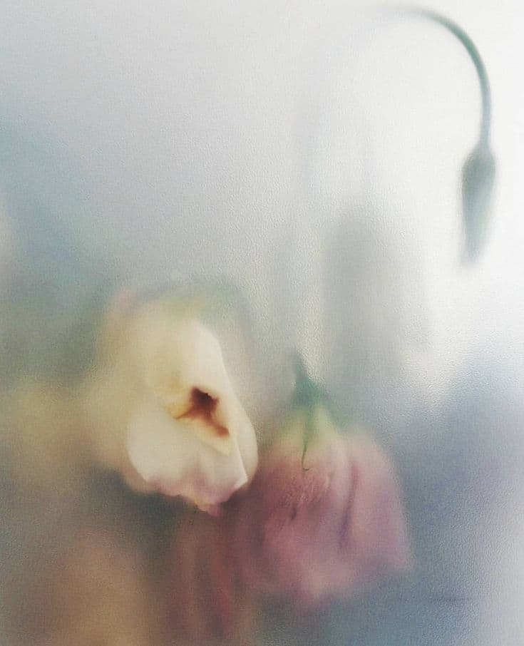 Banner 4