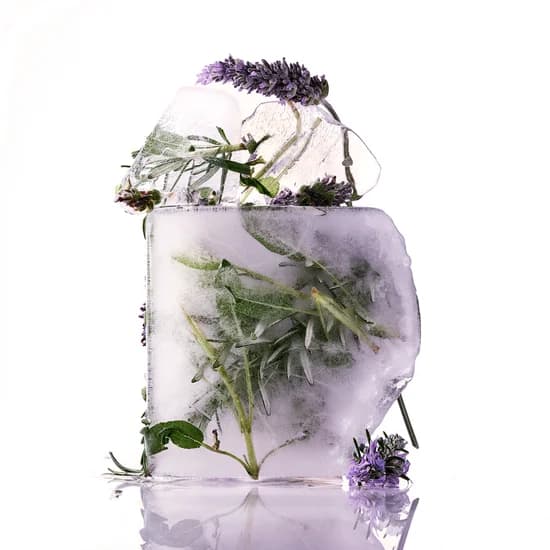 Logo aromatic-fougere