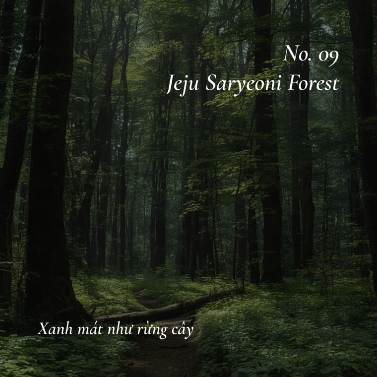 Jeju Saryeoni Forest