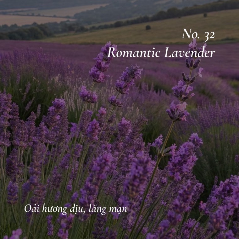 Romantic Lavender
